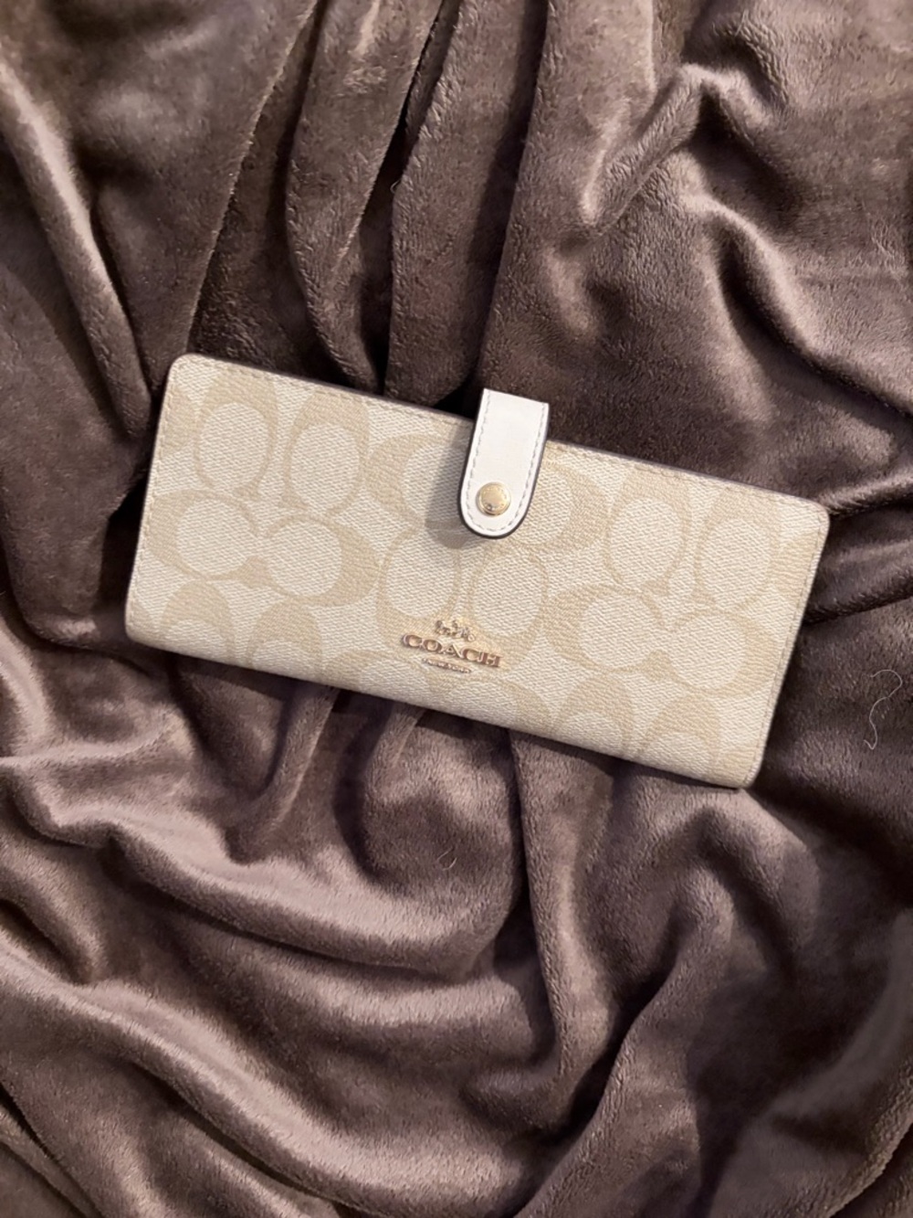 Coach Continental Wallet in Light Beige Signature Print